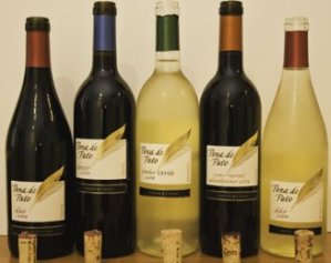 Pena de Pato Wines from Sogrape Vinhos