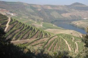 Quinta de Ventozelo