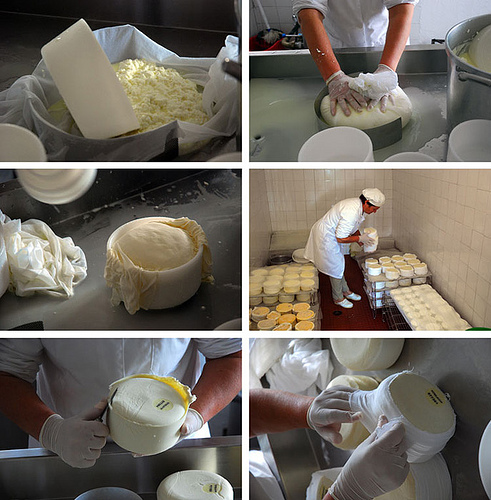 Portuguese Cheese Maker