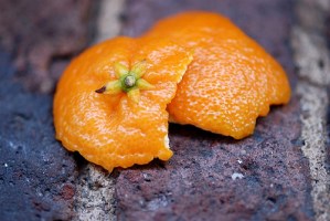 Valencian Oranges