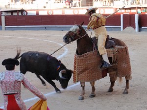 picador