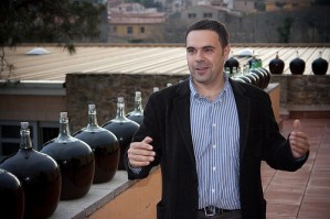 Vinyes de Aspres