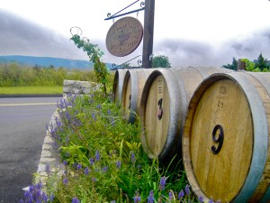 Gouveio Vineyards