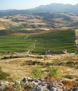 Gredos Castilla y Leon