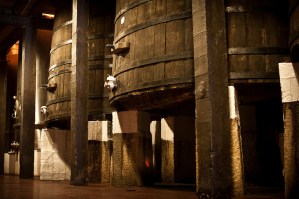 Rioja Oak