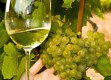 Natural wine