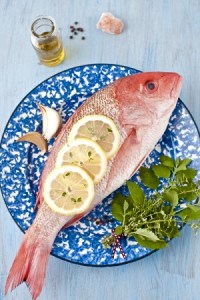 Red Snapper