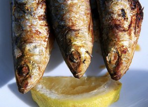 Sardines