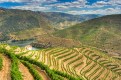 Douro Wines, Portugal