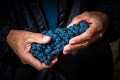 Touriga Franca Grapes Douro