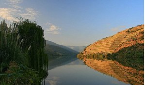 Douro