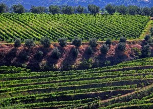 Douro Valley
