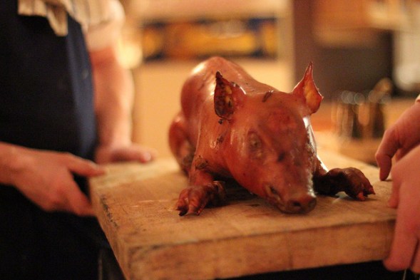 Cochinillo