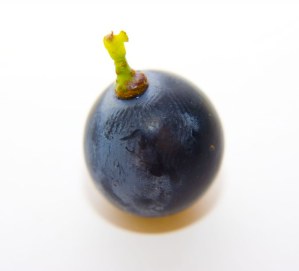 Red Grape