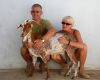 Goat Herding Spain
