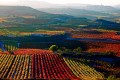 Rioja versus UNESCO