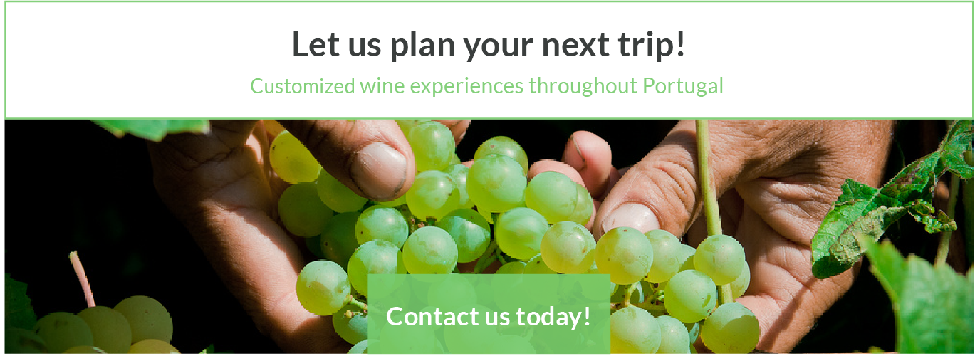 Custom Wine Tours Portugal