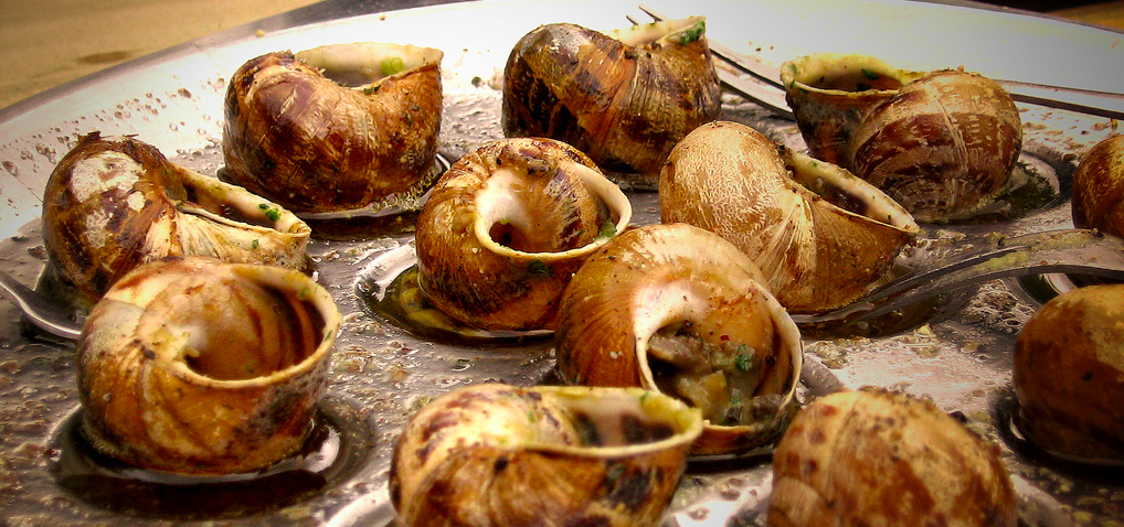 How to Eat an Escargot